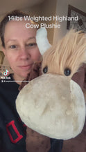 Load and play video in Gallery viewer, 2lbs -10lbs Weighted Highland Cow Stuffed Minky Animal Lap Pad -for Comfort,  Anxiety and Stress Relief - Custom Made