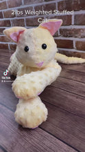 Load and play video in Gallery viewer, 2lbs -10lbs Weighted  Stuffed Cat Minky Animal Lap Pad -for Comfort, Special Needs, Sleep, Anxiety and Stress Relief - Custom Made