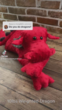 Load and play video in Gallery viewer, 2lbs -10lbs Weighted Dragon Stuffed Minky Animal Lap Pad -for Comfort, Special Needs, Sleep, Anxiety and Stress Relief - Custom Made