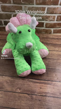 Load and play video in Gallery viewer, 2lbs -10lbs Weighted  Triceratops Dinosaur Stuffed Minky Animal Lap Pad -for Comfort, Special Needs, Sleep, Anxiety and Stress Relief - Custom Made