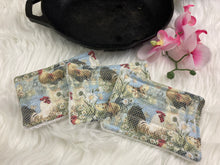 Load image into Gallery viewer, Chickens Reusable Kitchen Sponges- Perfect for cleaning dishes, counters and Cast Iron Pots. Mesh side for extra cleaning power.