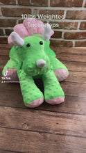 Load and play video in Gallery viewer, 2lbs -10lbs Weighted  Triceratops Dinosaur Stuffed Minky Animal Lap Pad -for Comfort, Special Needs, Sleep, Anxiety and Stress Relief - Custom Made
