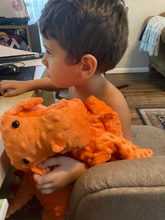 Load image into Gallery viewer, 2lbs -10lbs Weighted Dragon Stuffed Minky Animal Lap Pad -for Comfort, Special Needs, Sleep, Anxiety and Stress Relief - Custom Made
