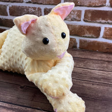 Load image into Gallery viewer, 2lbs -10lbs Weighted  Stuffed Cat Minky Animal Lap Pad -for Comfort, Special Needs, Sleep, Anxiety and Stress Relief - Custom Made
